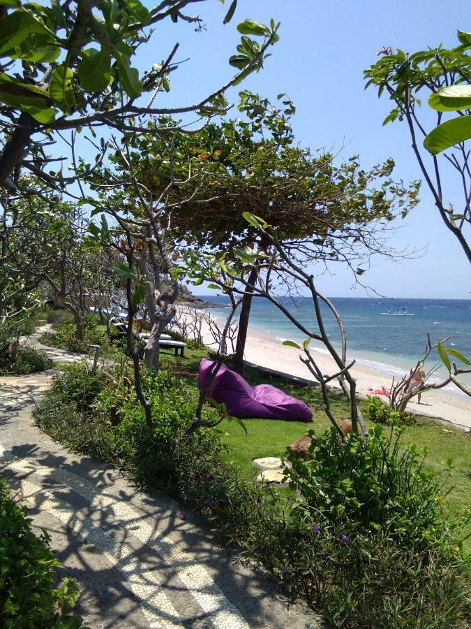 Stairway To Heaven Bungalows And Restaurant 아메드 외부 사진